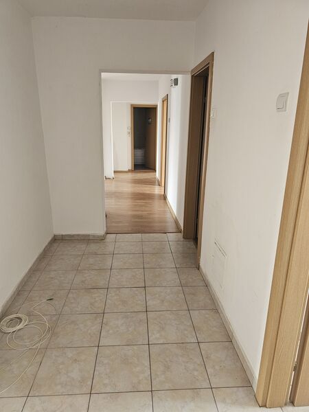 Unirii, Corneliu Coposu