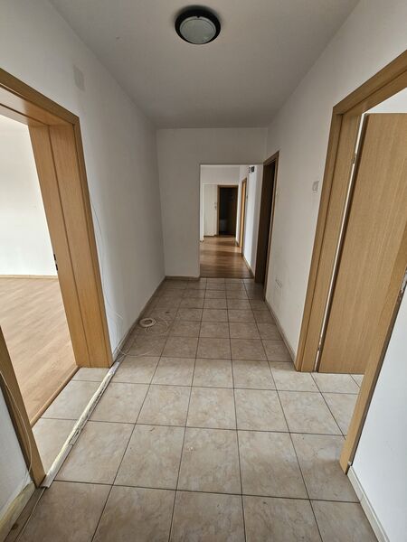 Unirii, Corneliu Coposu